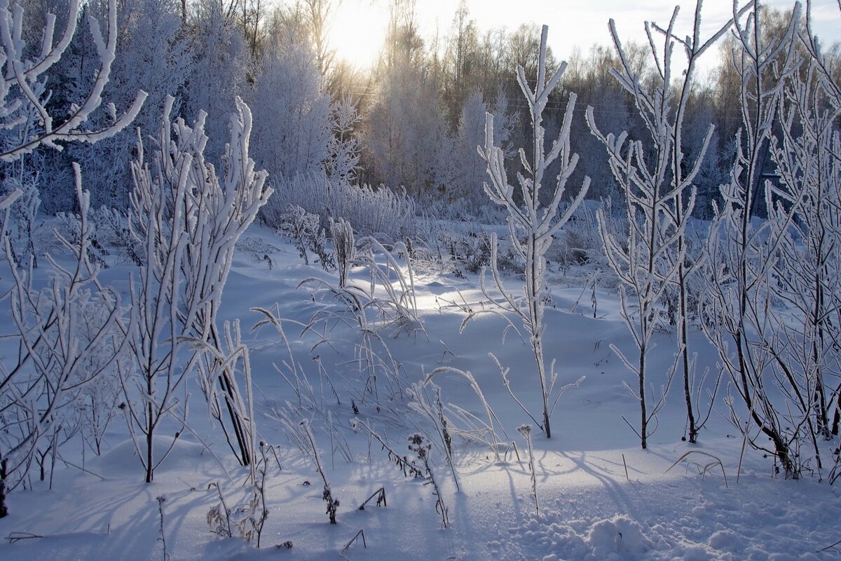 Зимний день - Сергей Швечков