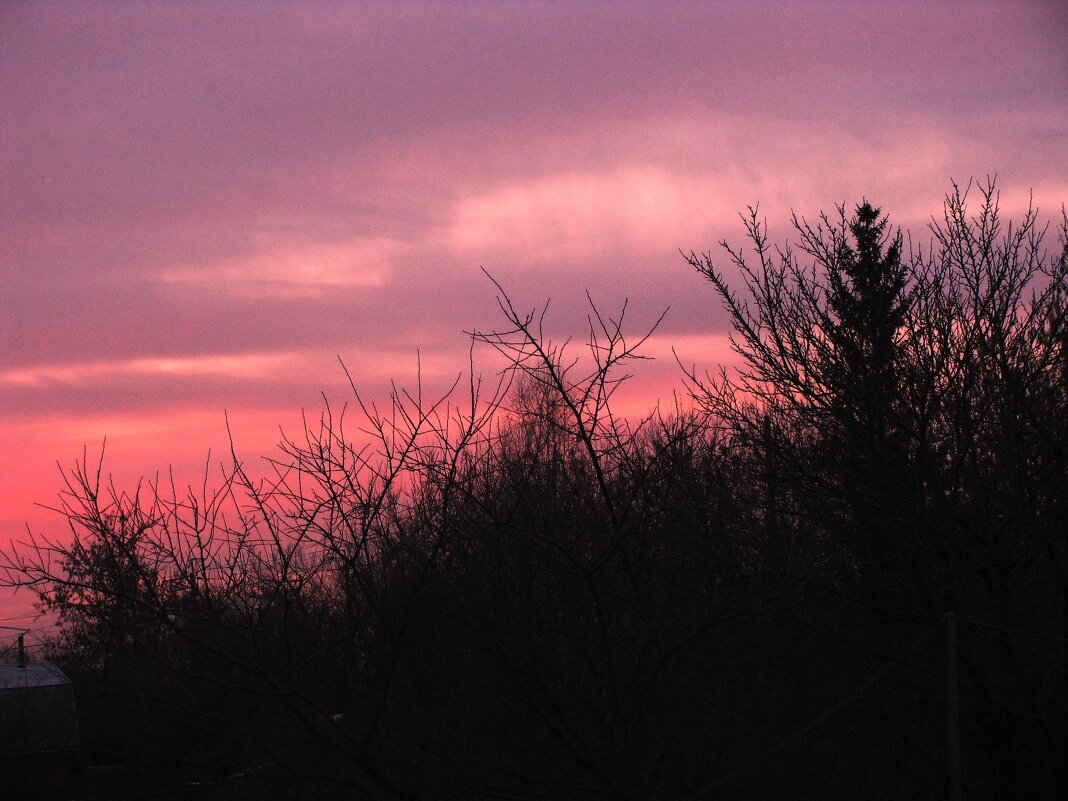 Розовое утро - Людмила Смородинская Розовое утро - Людмила Смородинская