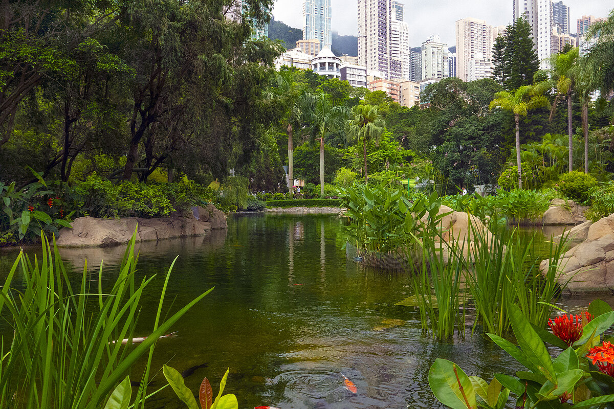 Пруд с золотыми рыбками - Леонид 