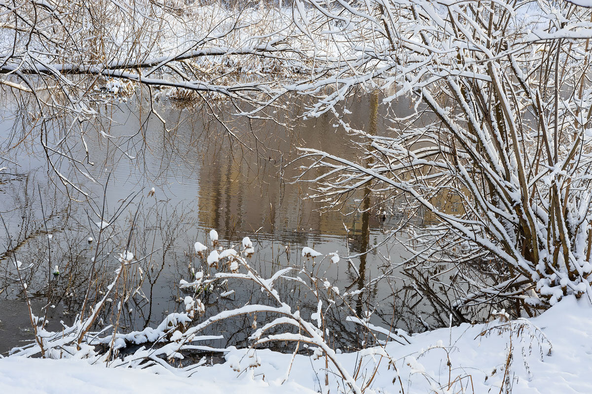 Берега речки зимой - Александр Синдерёв