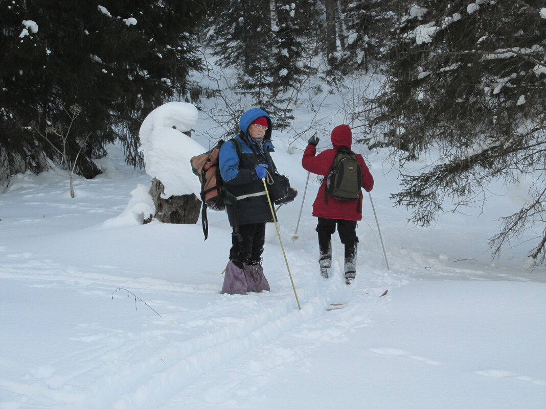 * - Galaelina *** * - Galaelina ***