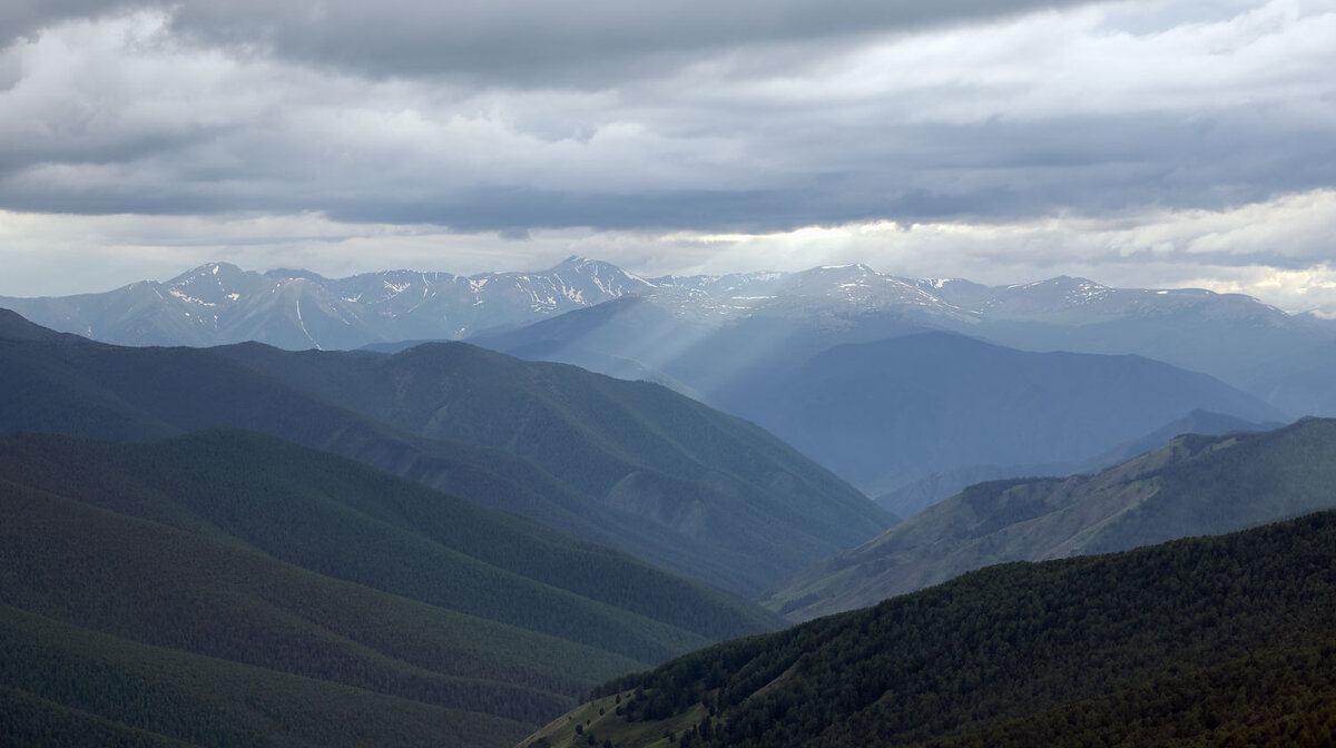 *** - владимир 