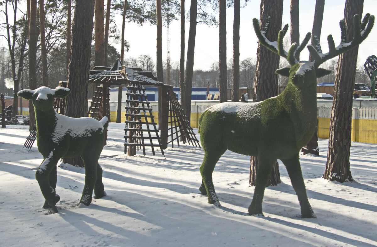 ------ - Владимир Зырянов ------ - Владимир Зырянов