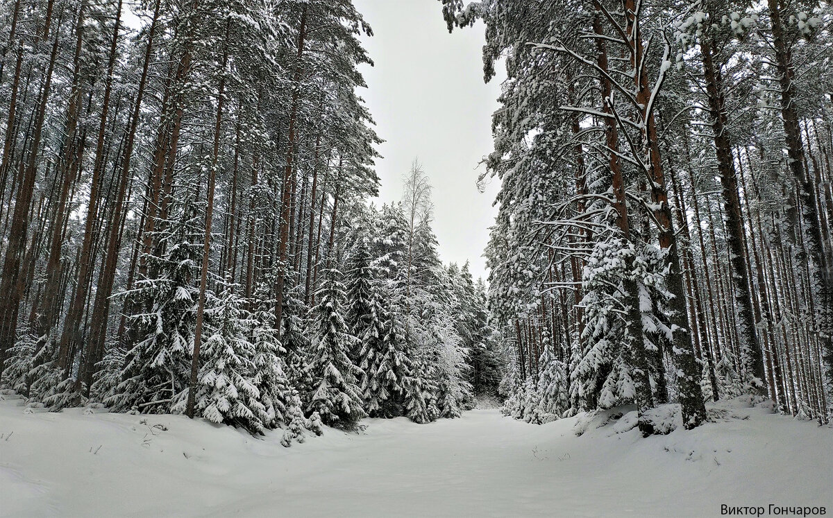 зима, Бокситогорск - Laryan1 