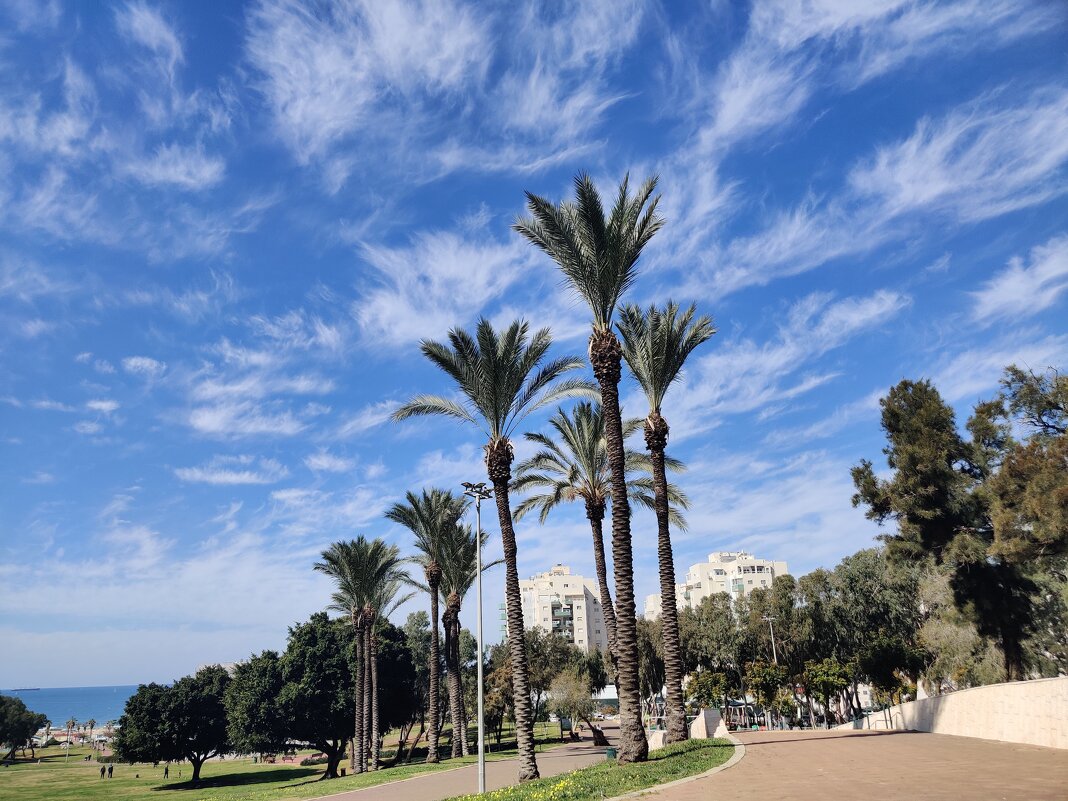 Прогулка в парк! - Светлана Хращевская Прогулка в парк! - Светлана Хращевская
