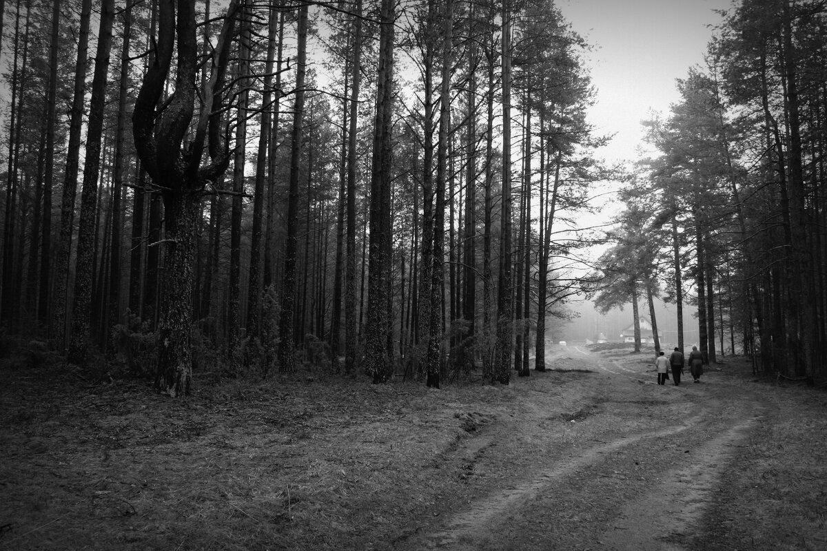 Путь Домой - Валерий Кехтер Путь Домой - Валерий Кехтер