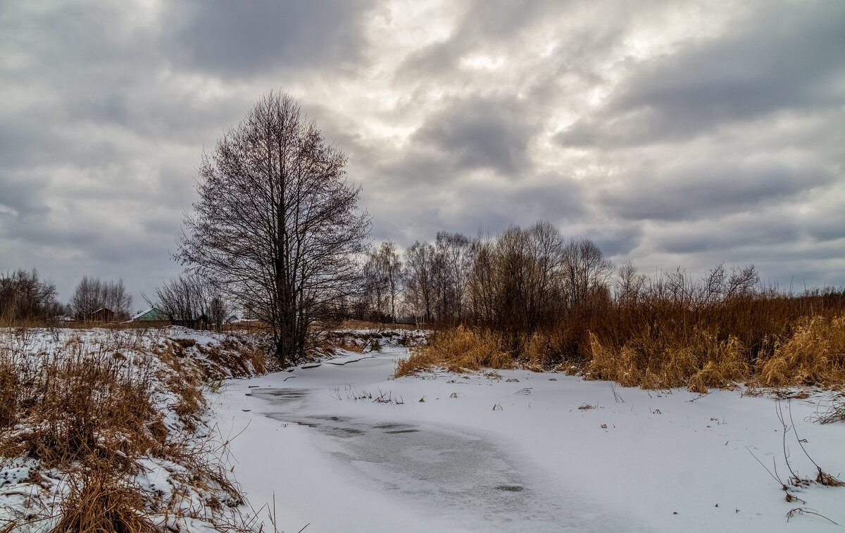 Наконец то зима. - Андрей Дворников