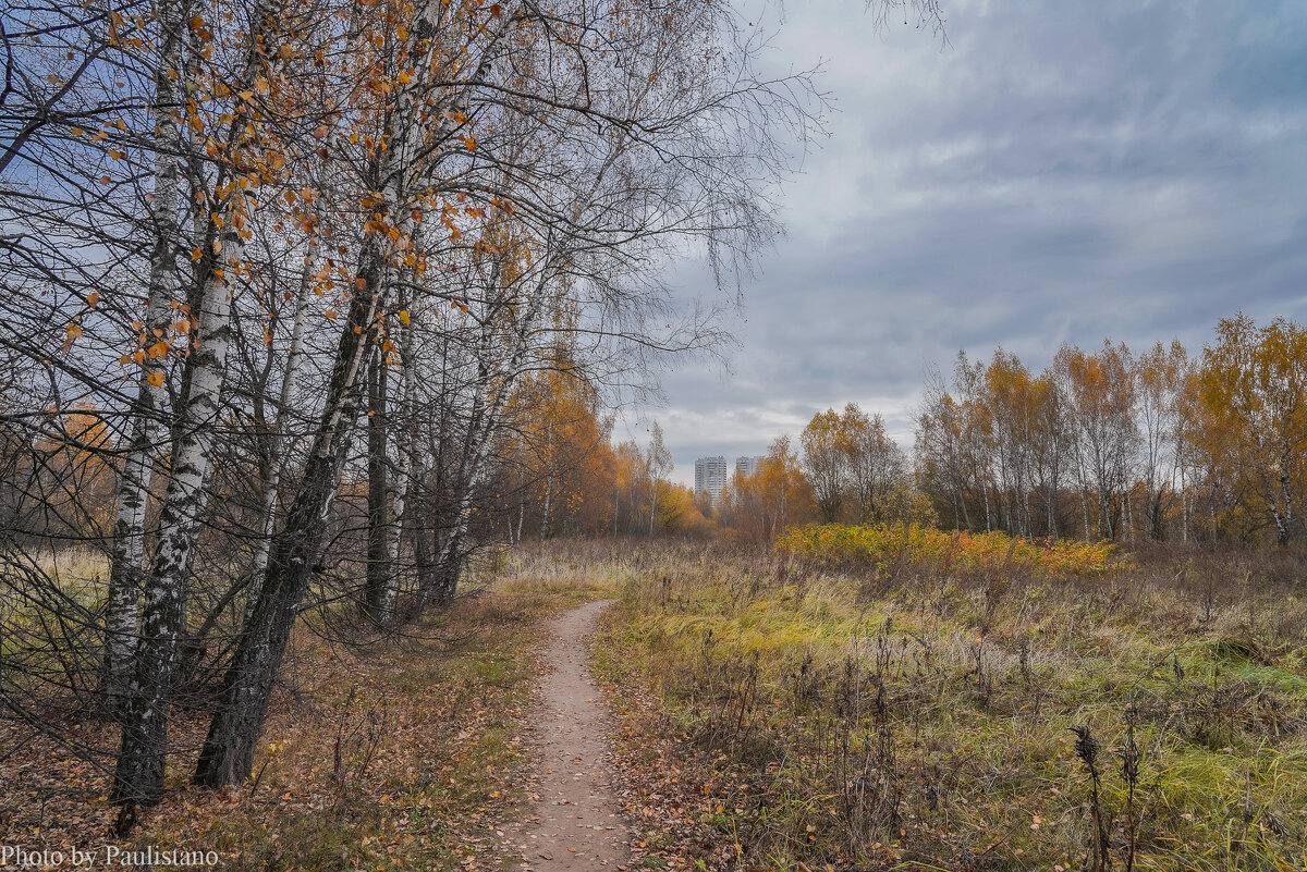 Московская осень... - Владимир Жданов Московская осень... - Владимир Жданов