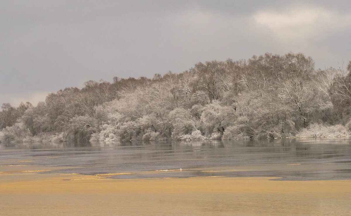 Река Волхов - Олег Фролов