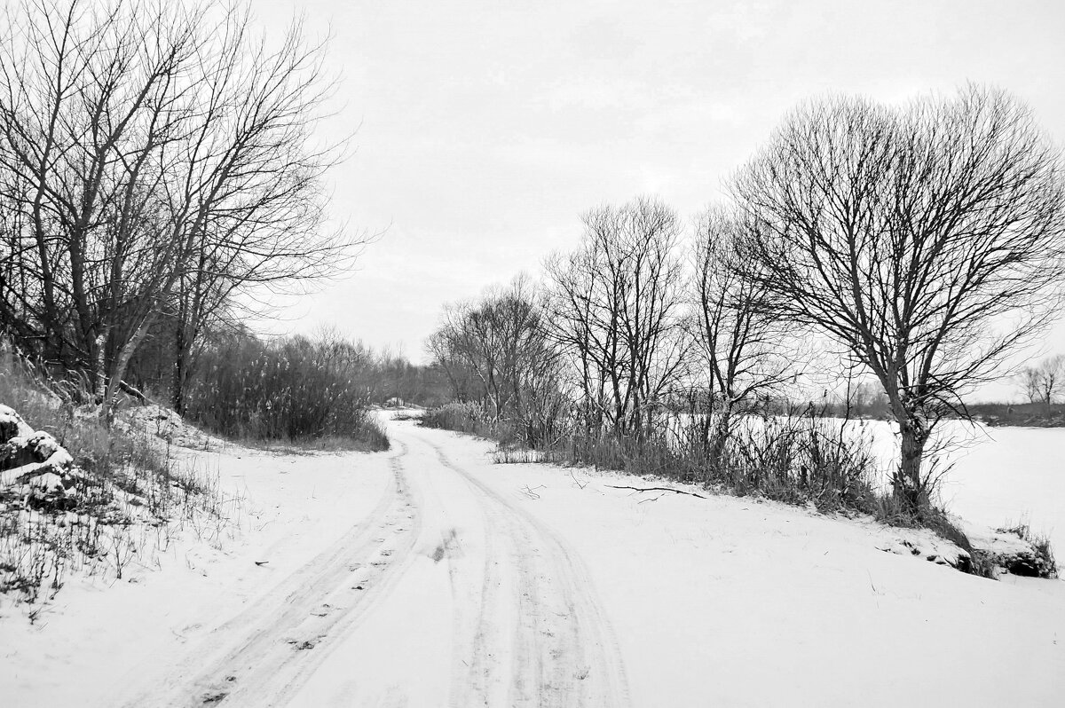 ... - Елена Пономарева