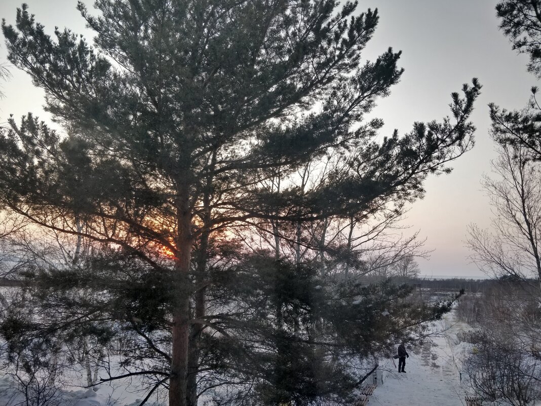 Зимний вечер - Андрей Хлопонин