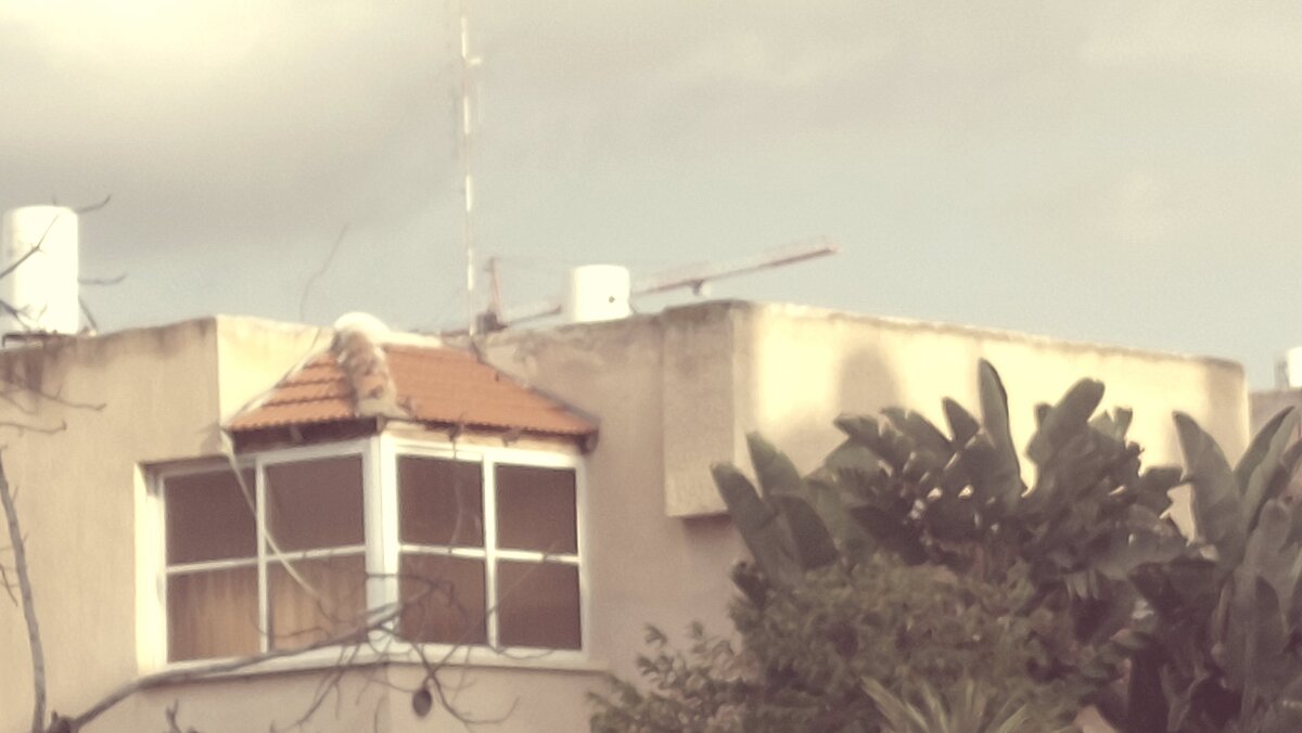 12  КЛОС (553) - CLOSE WAYS ALL