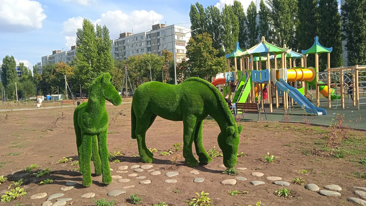 Центральный парк Балаково - Елена Шаламова Центральный парк Балаково - Елена Шаламова