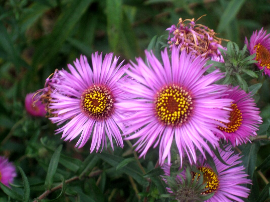 Двое - Елена Семигина Двое - Елена Семигина