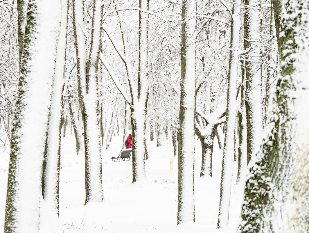 Снежная зима - Олег Фролов Снежная зима - Олег Фролов