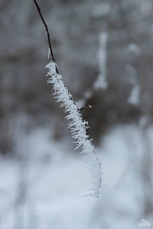 В инее - Александр Синдерёв
