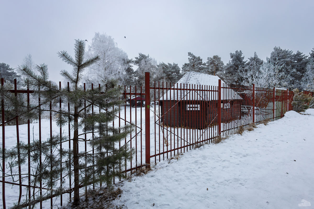 На природе в морозный день - Александр Синдерёв На природе в морозный день - Александр Синдерёв