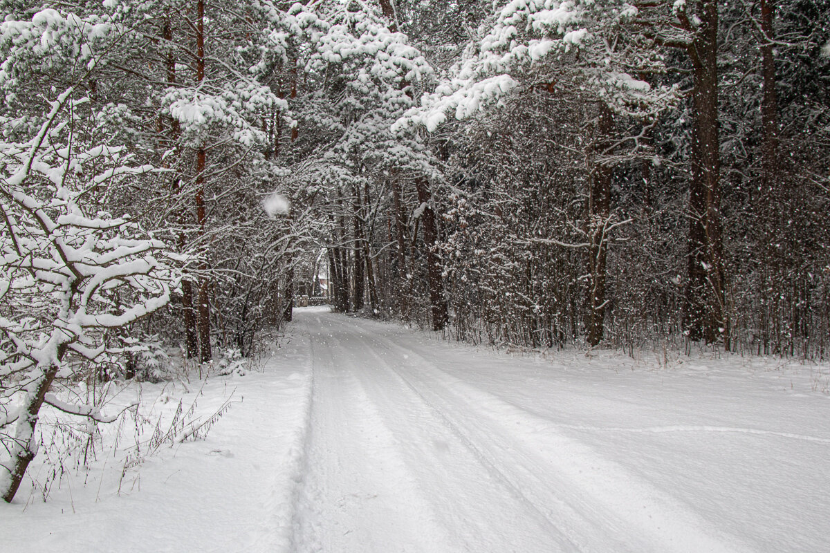 *** - Геннадий Порохов