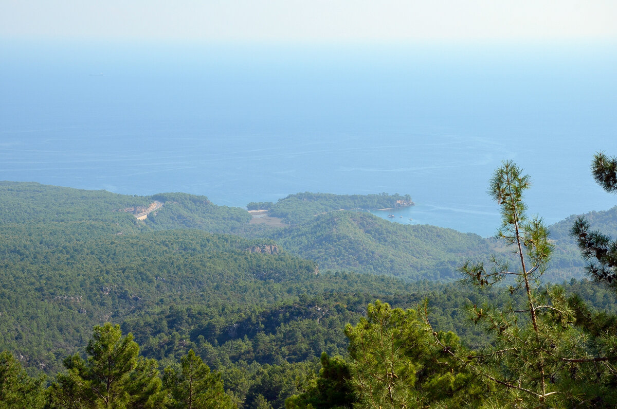 Между небом и землей - Алексей Просвиряков