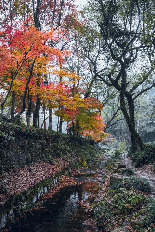 Осенью в парке - Дмитрий Осенью в парке - Дмитрий