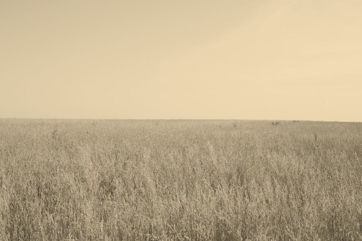 Название отсутствует - Денис Безногов Название отсутствует - Денис Безногов