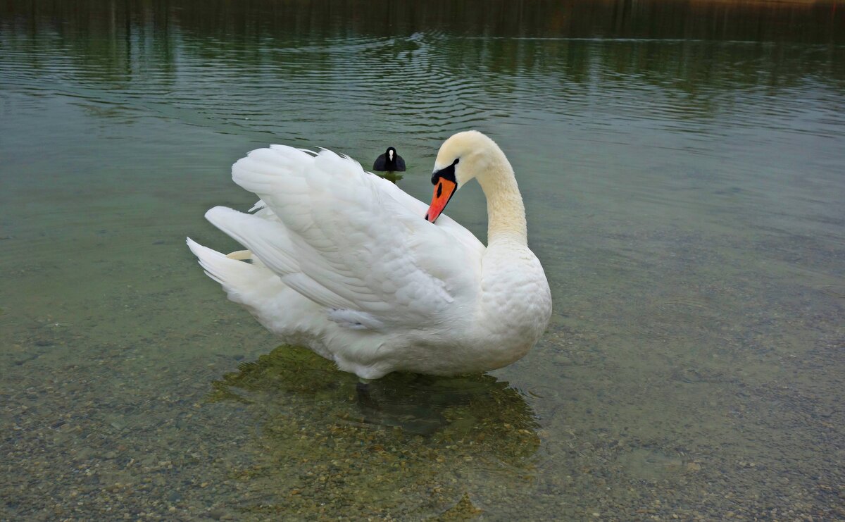 .... - Галина .... - Галина