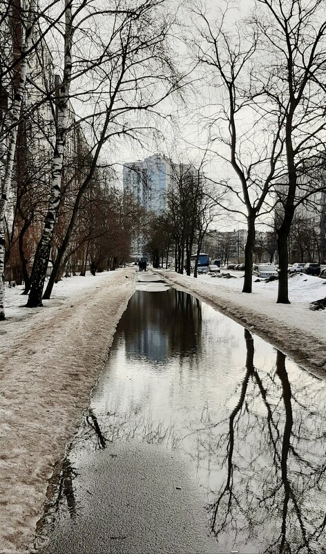 Когда в феврале весна - Наталья Герасимова Когда в феврале весна - Наталья Герасимова