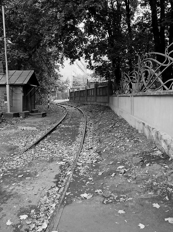 Забытый путь - Наталья Rosenwasser