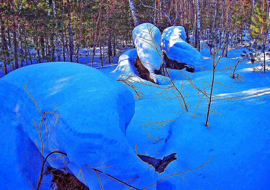 Зима накудесничала в лесу! - Владимир 