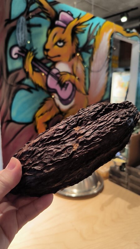 Плод какао. - Ольга 