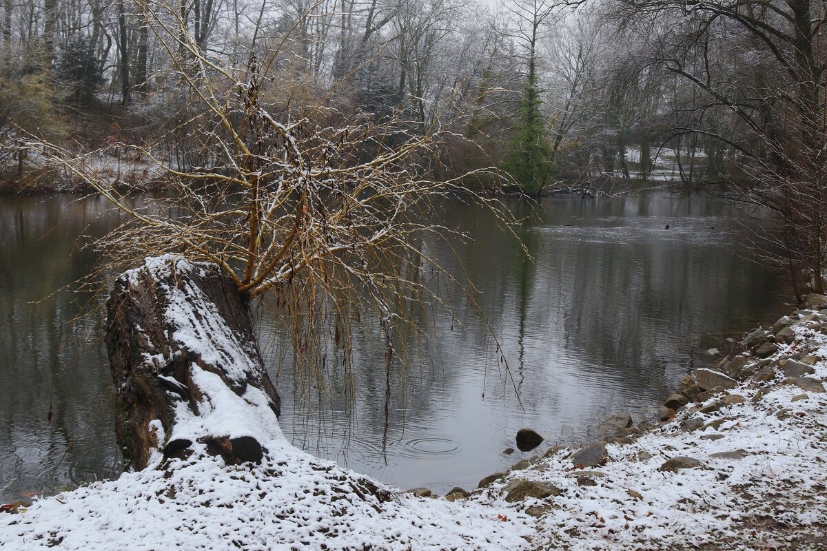 Предчувствие - Юрий. Шмаков Предчувствие - Юрий. Шмаков