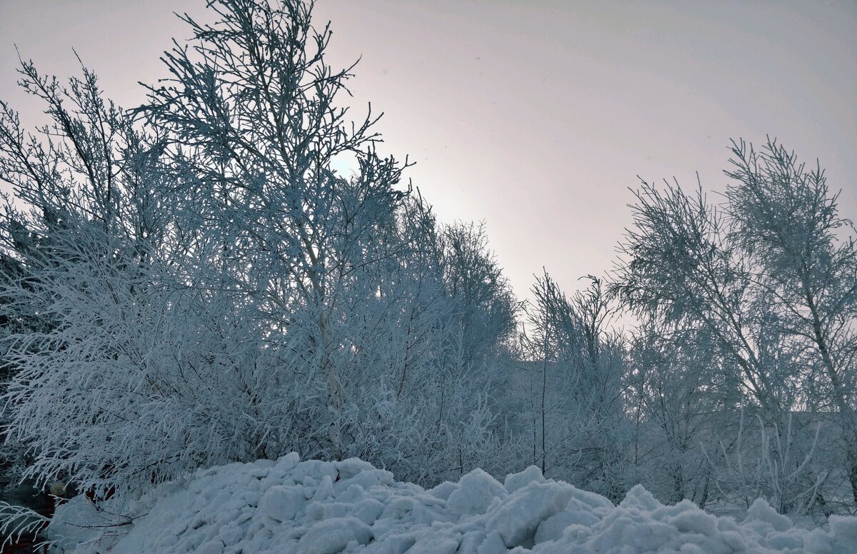 Снежность - Андрей Хлопонин Снежность - Андрей Хлопонин