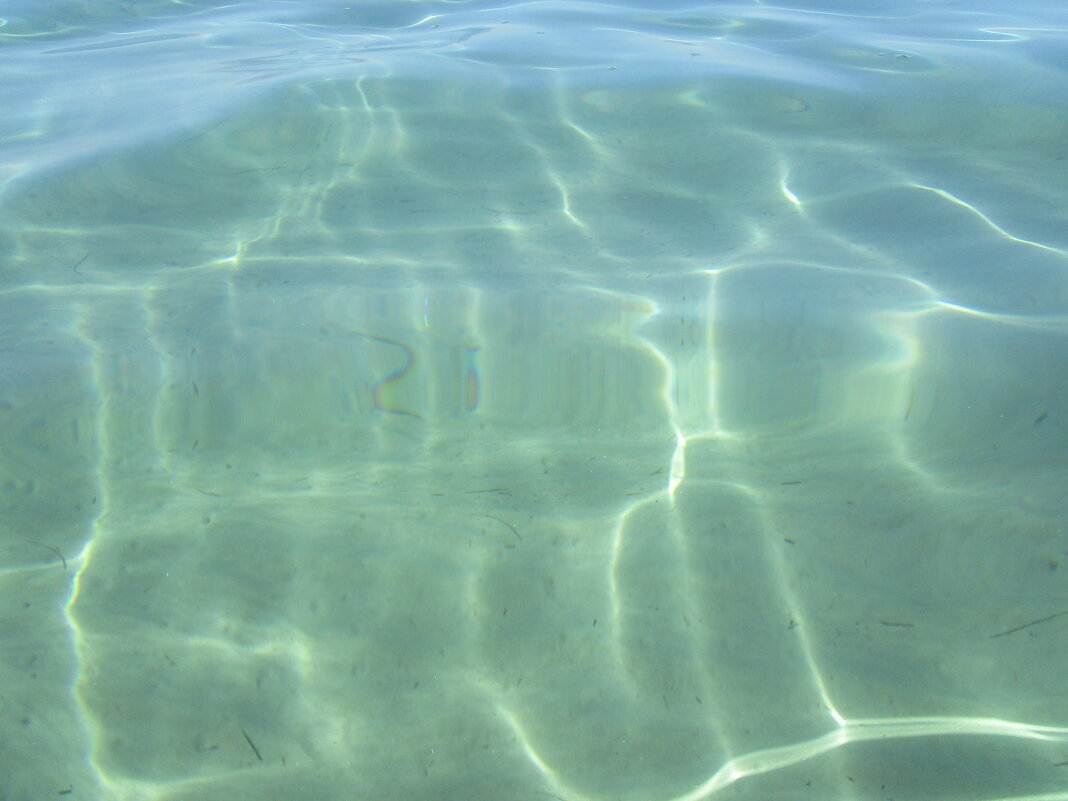 прекрасное воспоминание - Елена Шаламова