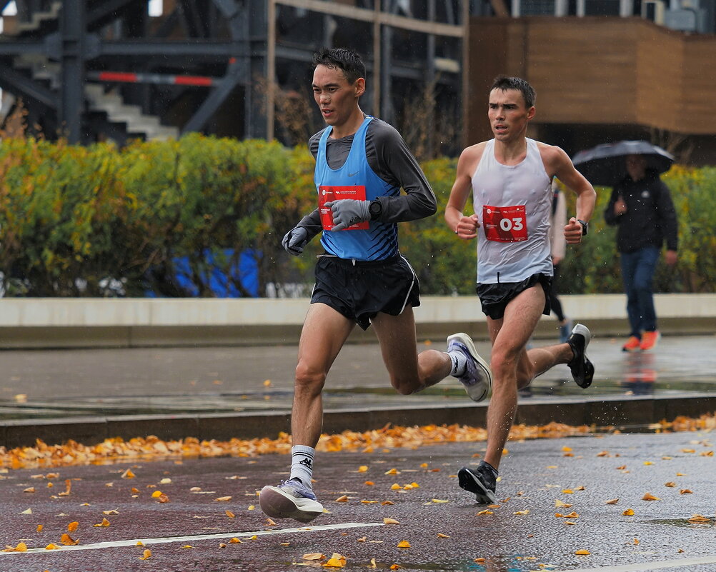 Осенний полумарафон. - Евгений Седов Осенний полумарафон. - Евгений Седов