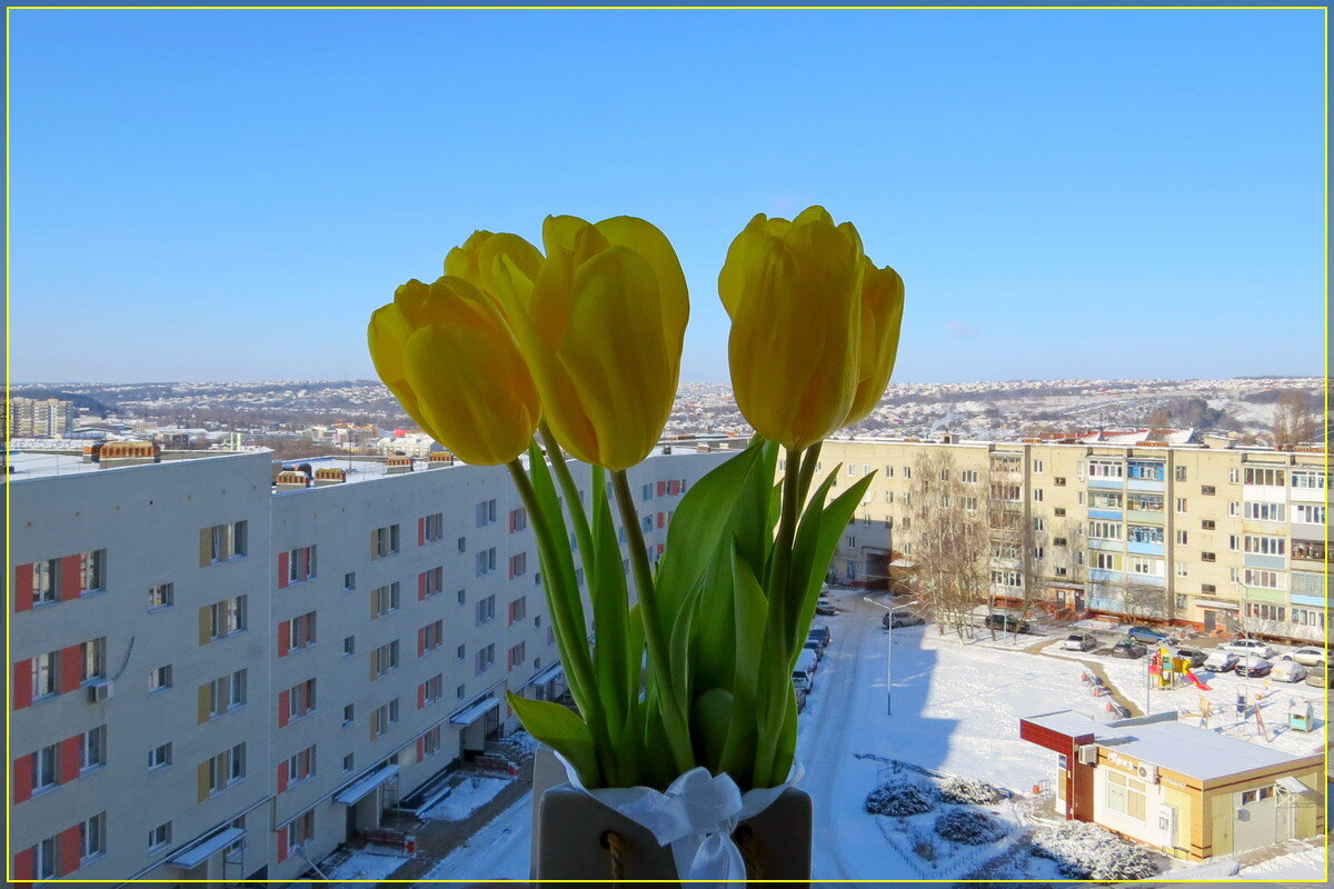 Немного весеннего в феврале - Сеня Белгородский Немного весеннего в феврале - Сеня Белгородский