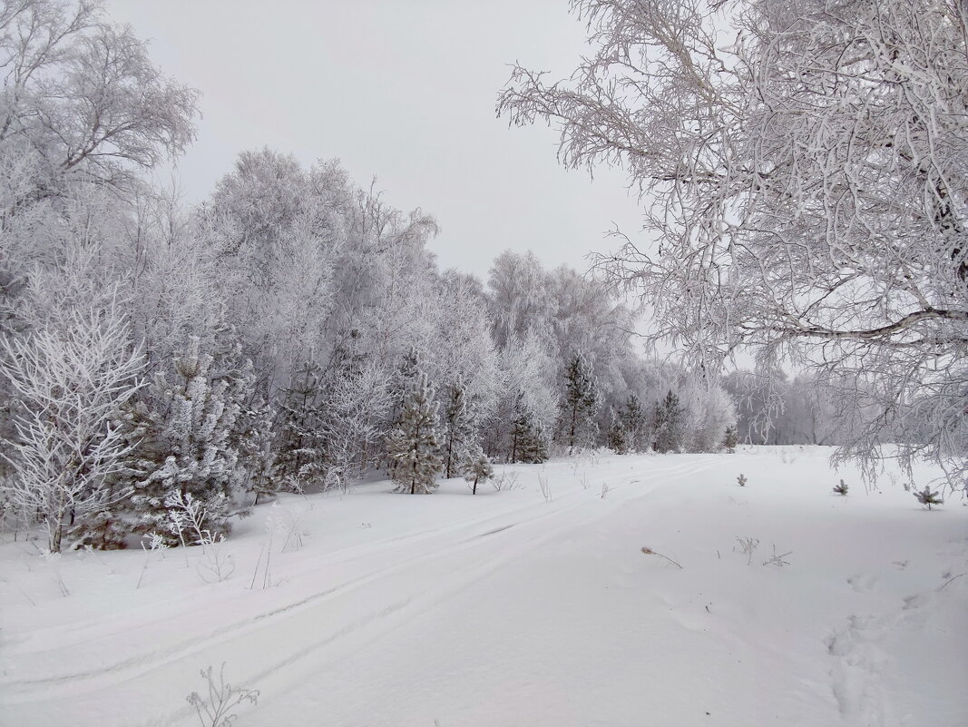 Утро нового дня - Валентина Богатко Утро нового дня - Валентина Богатко