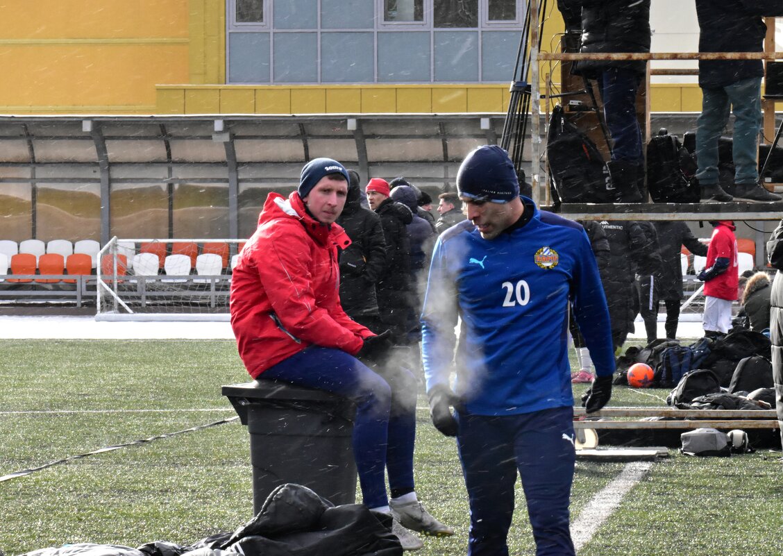 *** - Наталья Вязигина