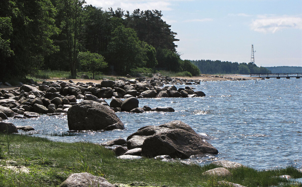 Каменистый берег - Александр Ильчевский 