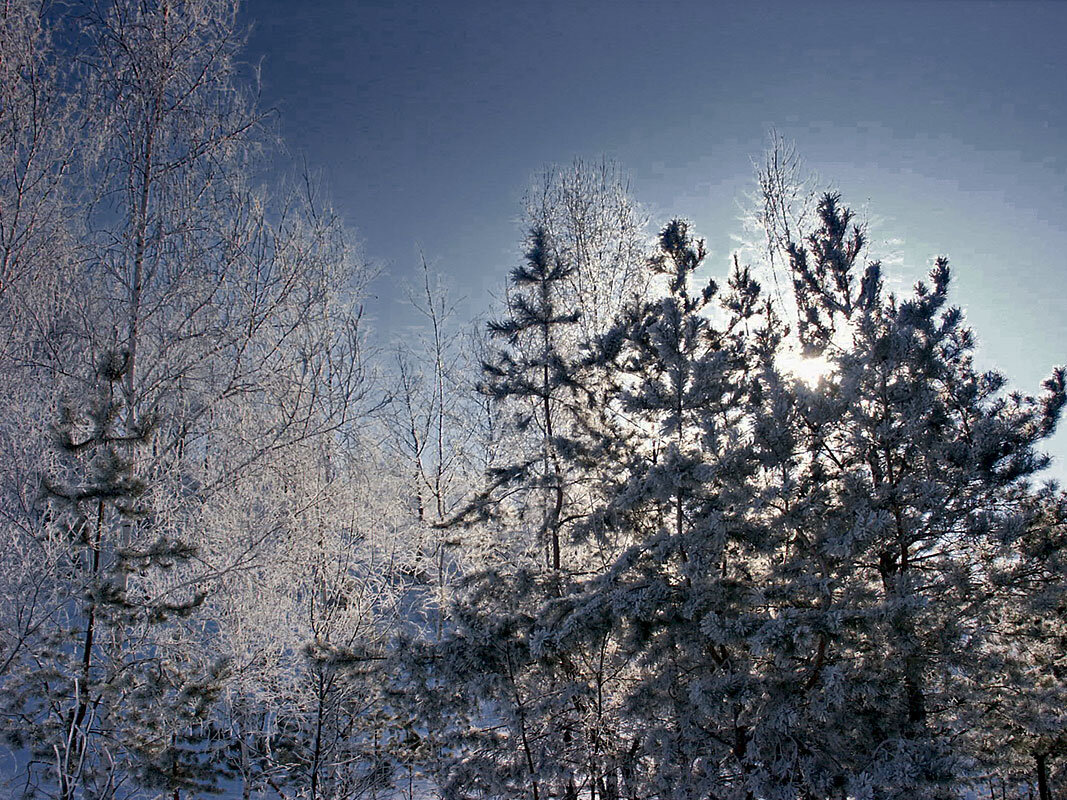 Сквозь иней - MILAV V