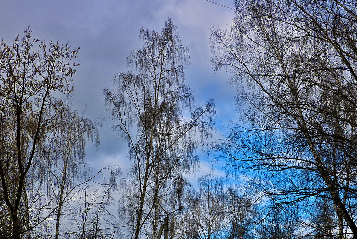 Февральское небо - Светлана 