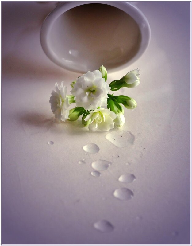 ПРЕДЧУВСТВИЕ... - Elvira E. 