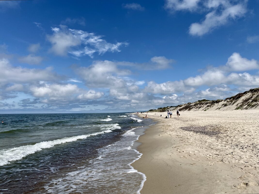 Куршская коса... - Elena Ророva Куршская коса... - Elena Ророva