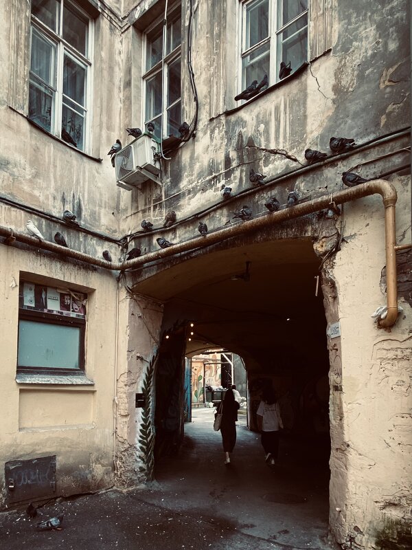 Питерские дворы... - Elena Ророva Питерские дворы... - Elena Ророva