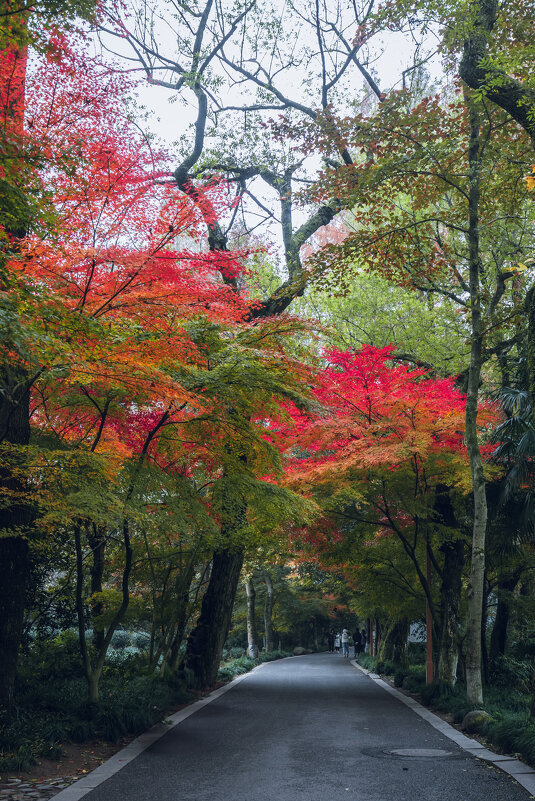 В парке осенью - Дмитрий 