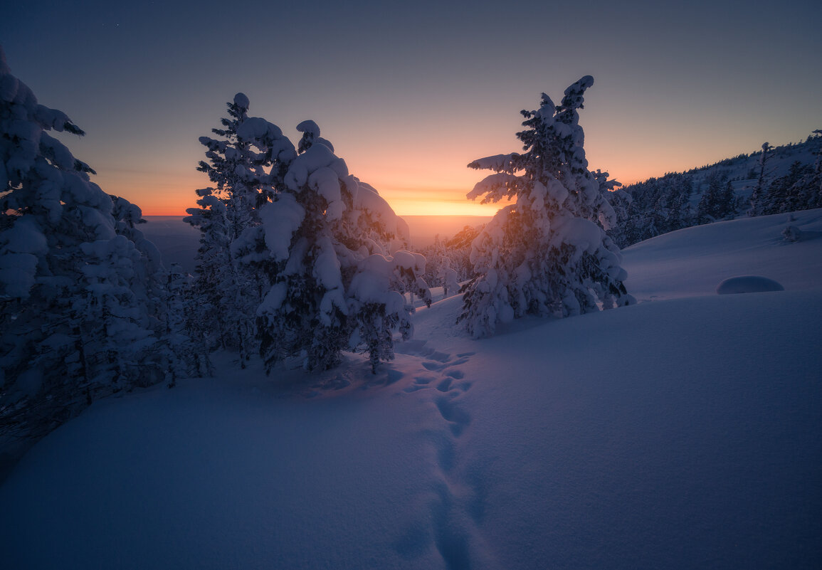 * - Александр Иванов * - Александр Иванов