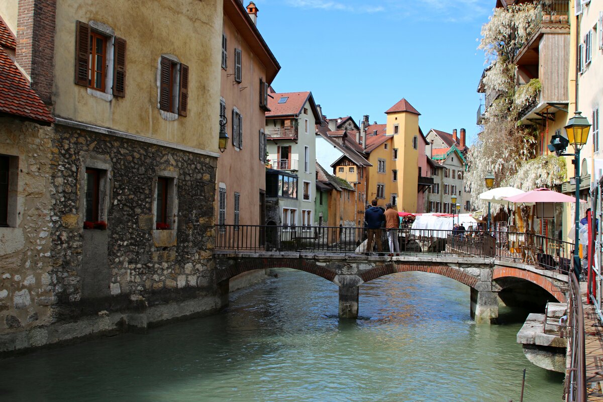 Виды Анси - Владимир59 