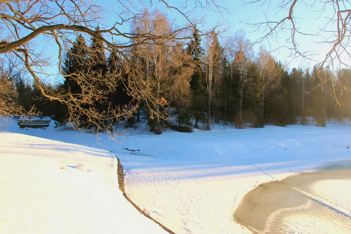 Зимний Павловск - Наталья Герасимова Зимний Павловск - Наталья Герасимова
