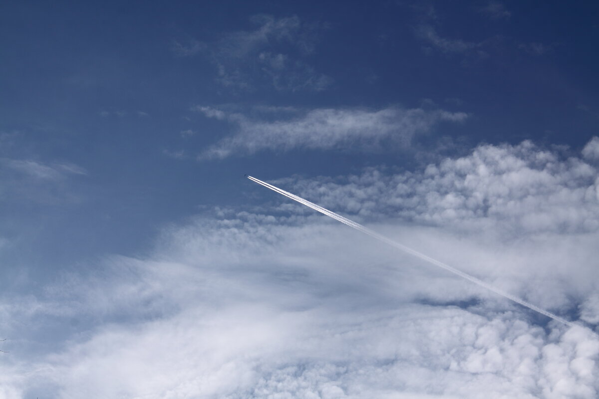 высота - Александр Кольцов