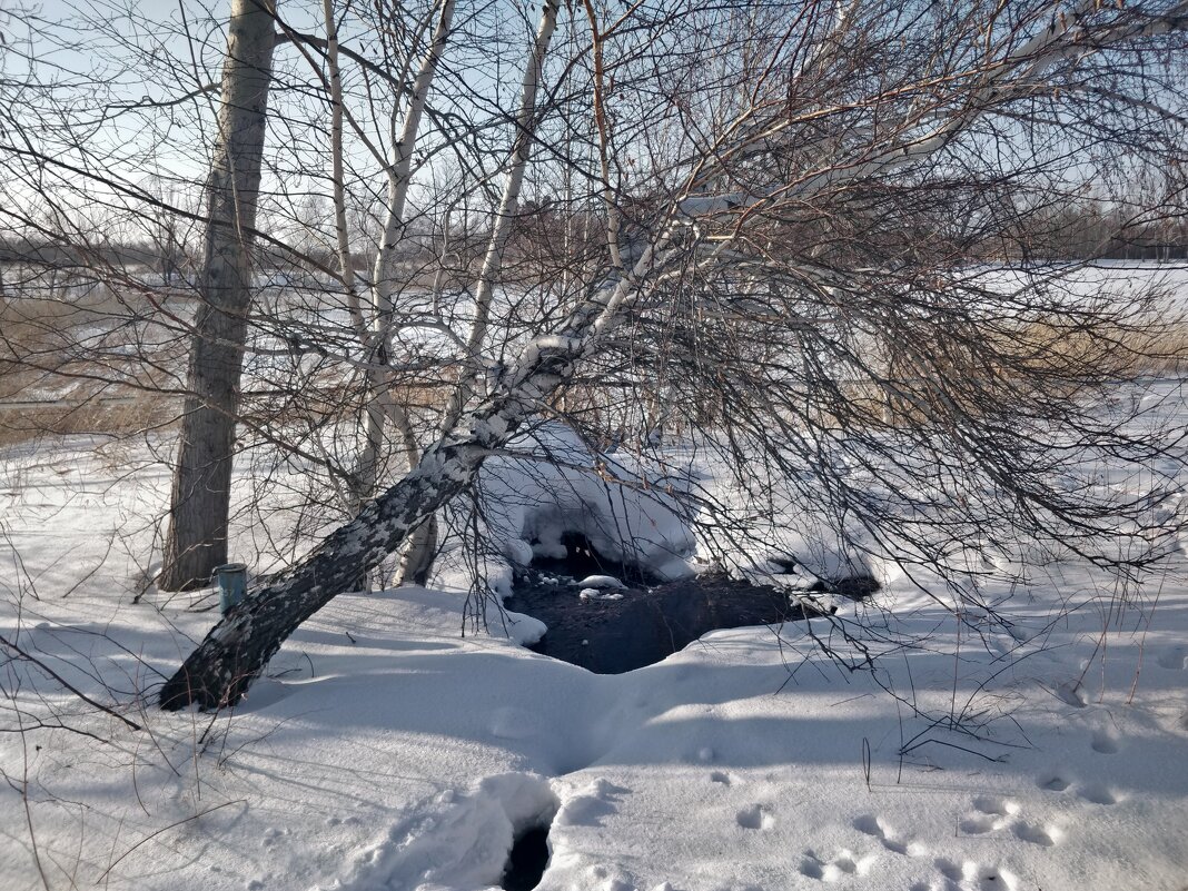 Минеральный родник - Андрей Хлопонин
