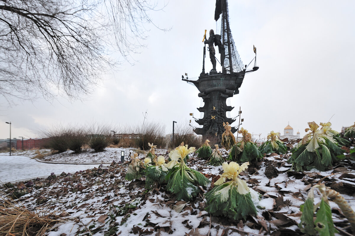 ** - Виктор Берёзкин ** - Виктор Берёзкин